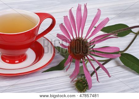Kahvin kanssa Echinacea