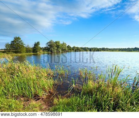 Summer Rushy Lake View With Small Grove On Opposite Shore