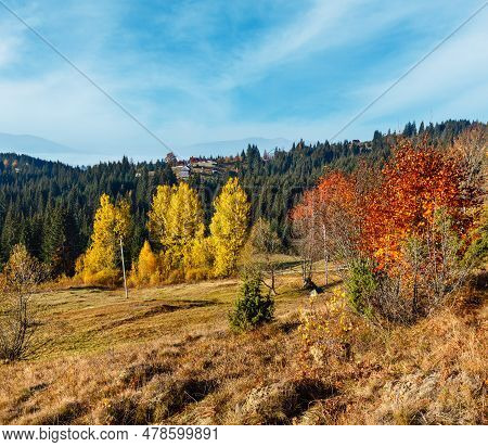 Morning Autumn Slopes (with Colorful Trees) Of Carpathian Mountains (yablunytskyj Pass, Ivano-franki