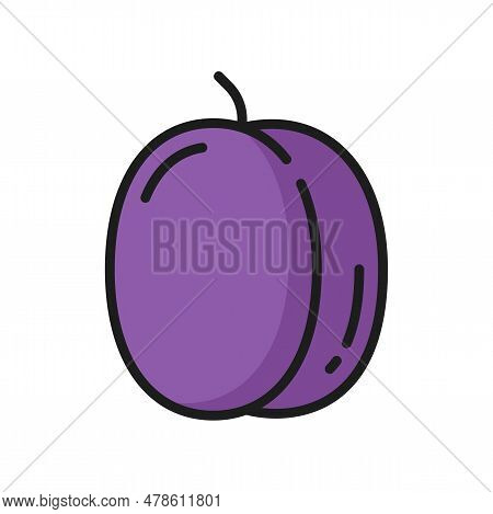 Purple Plum, Raw Passion Fruit Maracuya, Exotic Food Color Line Icon. Vector Maracuja Fruit, Vegetar