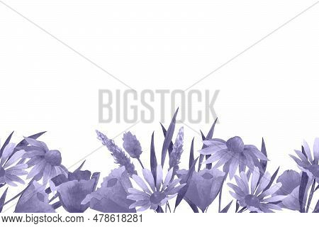 Vector Botanocal Seamless Border With Abstract Wildflowers, Plants And Delicate Branches, Print Isol