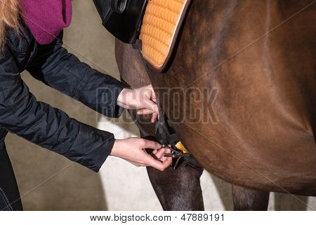 สาว Saddles ม้าของเธอ