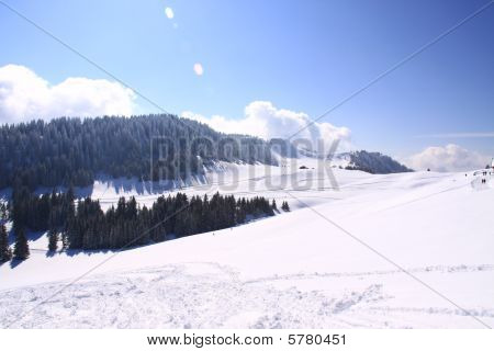 Ski Slopes
