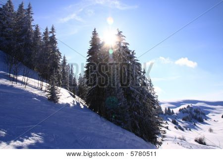 Ski Slopes