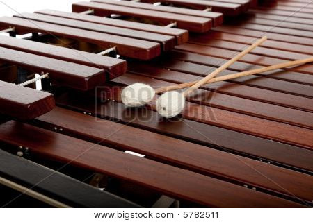 Marimba biały