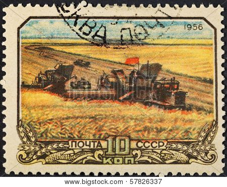 Harvesting Wheat In Soviet Russia