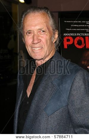 David Carradine at the Charity Screening of 'Polanski Unauthorized' to Benefit the Children's Defense League. Laemmle Sunset 5 Cinemas, West Hollywood, CA. 02-10-09