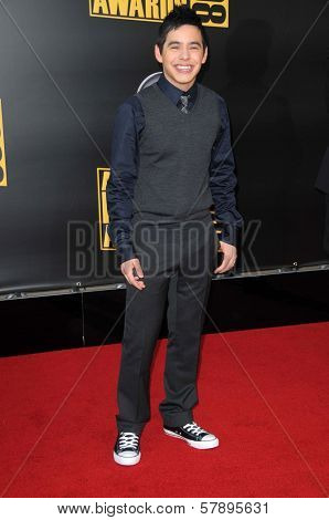 David Archuleta  at the 2008 American Musica Awards. Nokia Theatre, Los Angeles, CA. 11-23-08