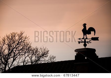 Weathercock