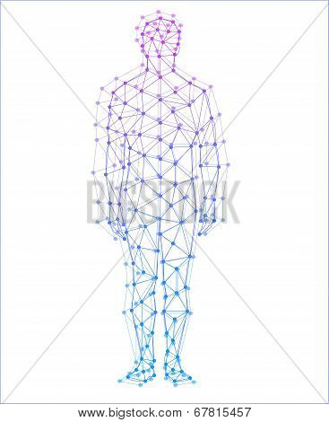 Abstract model of man with points and lines. Vector background