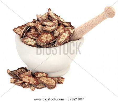 Sagent glory vine chinese herbal medicine in a stone mortar with pestle over white background. Hong teng. Sargentadoxa.
