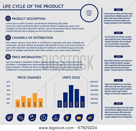Editable template - life cycle of a product in marketing with charts, diagrams and icons