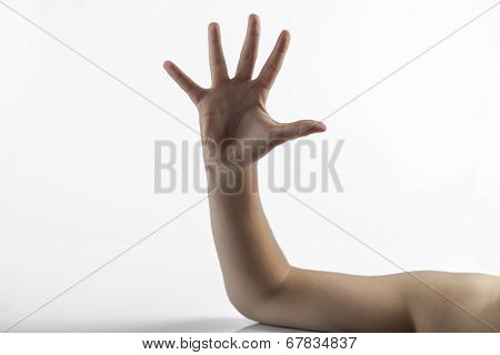 Young Hand Make 5 Fingers Gesture