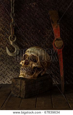 Still Life With A Skull.