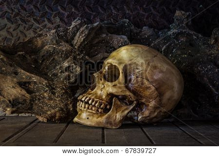 Still Life With A Skull.