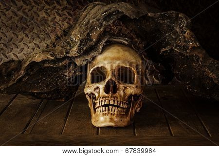 Still Life With A Skull.