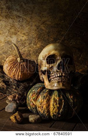 Still Life Skull And Pumpkin On The Timber.