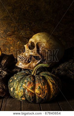 Still Life Skull And Pumpkin On The Timber.