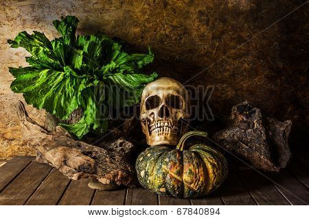 Still Life Skull And Pumpkin On The Timber.