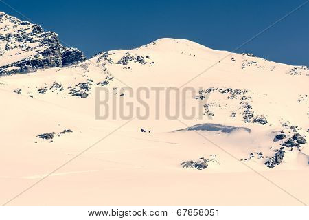 Mountain Top With Ski Trails