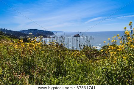 Del Norte Coast Norht Of Klamath
