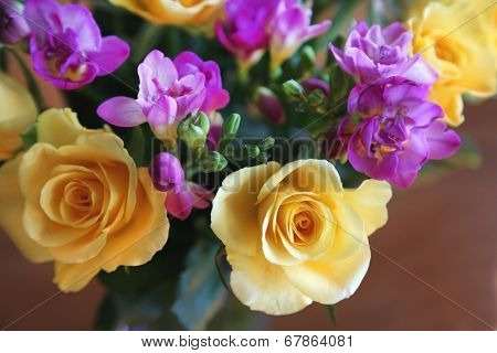 rose and fressia