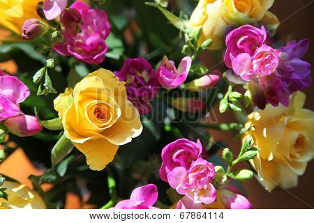 rose and fressia