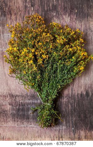 Hypericum Perforatum