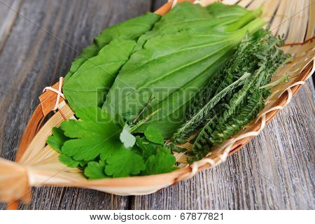 Medicinal herbs on table close-up