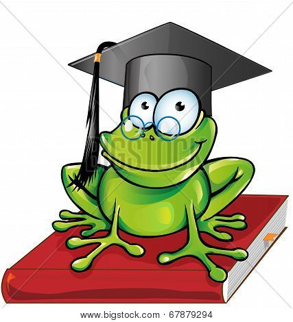 Wise Frog  Cartoon