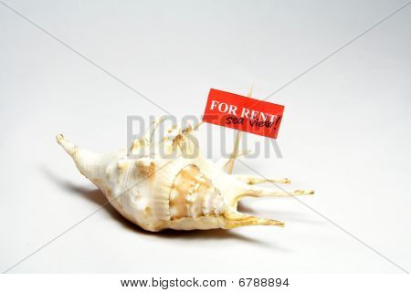 Aluguel de Shell do mar