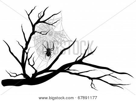 Spider Web Tree