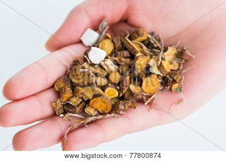 Holding Chinese Traditional Herbs.