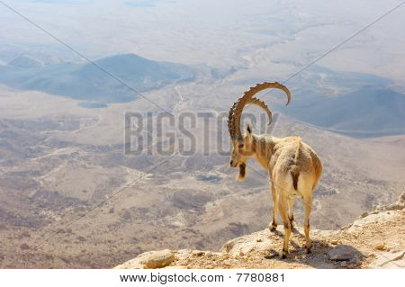 Makhtesh Ramon