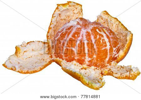 Tangerine