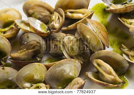 Clams With Green Sauce