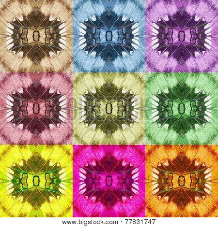 Colorful Patterns From Butterfly Wing For Background