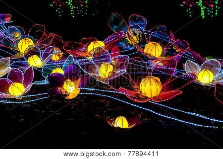 Rainbow Velvet Flowers