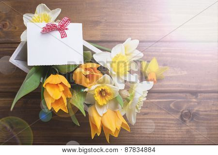 Background With Fresh Daffodils And Tulips
