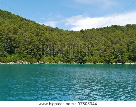 The green blue of the Croatian Polace bay