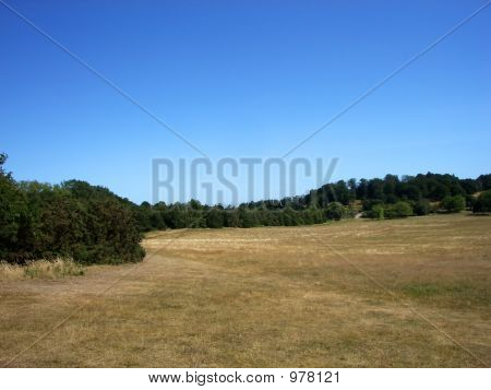 Hainault Waldlandschaft