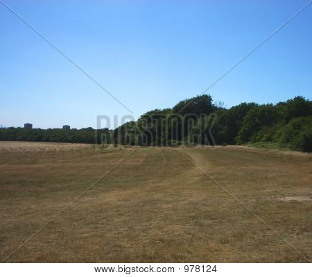 Hainault Waldlandschaft