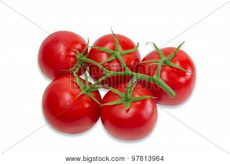 Branch Of Tomatoes