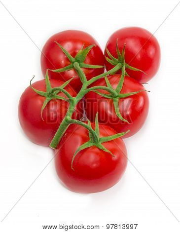 Branch Of Tomatoes