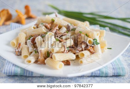 Pasta With Mushrooms In White Souce
