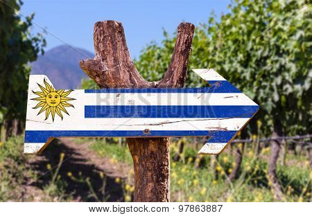 Uruguay Flag wooden sign with winery background