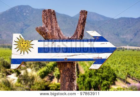 Uruguay Flag wooden sign with winery background