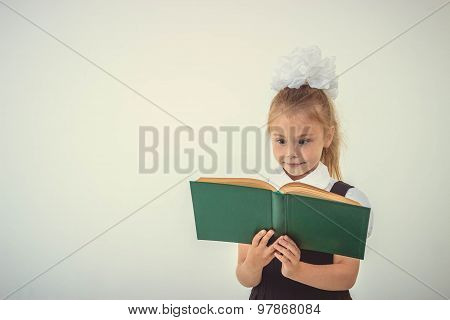 Little Girl Reading Book, Preparing For School, Isolated