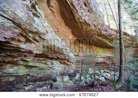 Turkey Roost Rockhouse