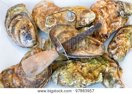 Shucking a pile of fresh oysters.